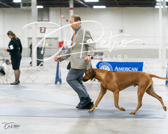 20231029-DSC01667