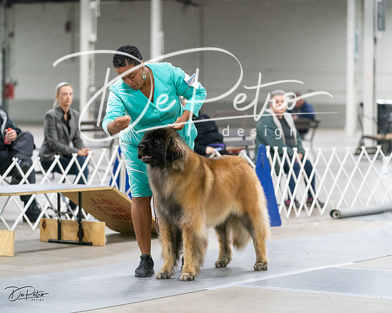 20231029-DSC01674