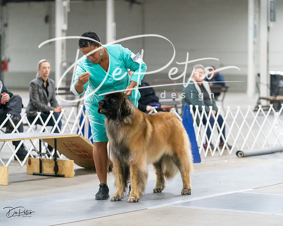 20231029-DSC01677