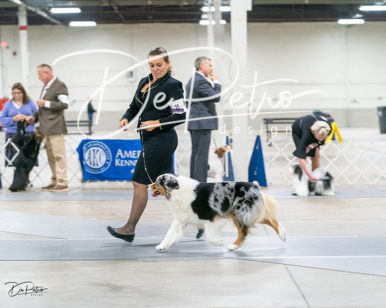 20231029-DSC01701