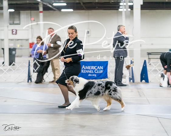 20231029-DSC01705