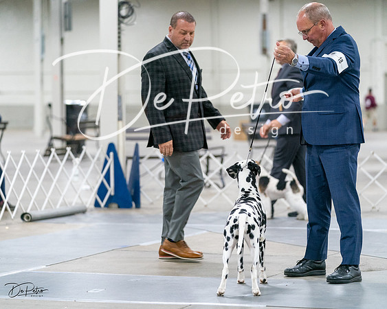 20231029-DSC01733