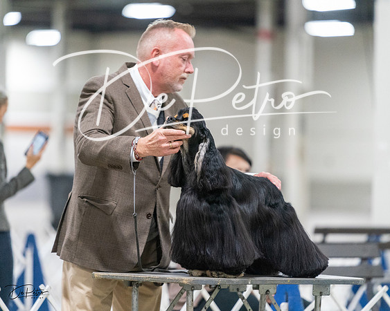 20231029-DSC01735