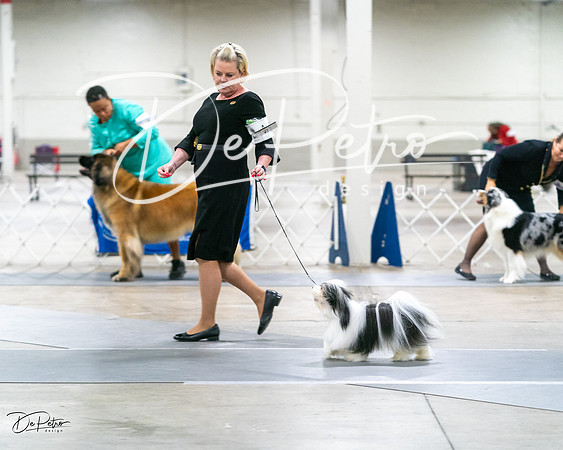 20231029-DSC01825