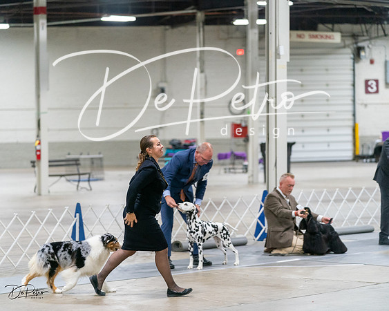 20231029-DSC01890