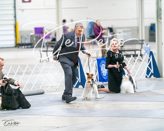 20231029-DSC01906