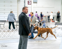 20231029-DSC01388