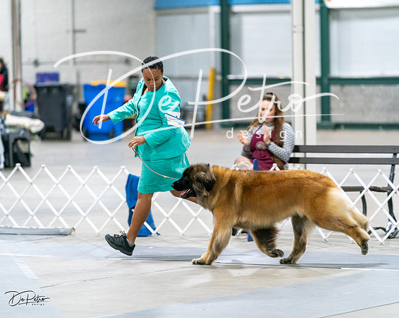 20231029-DSC01400