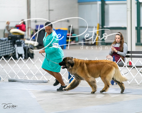 20231029-DSC01404