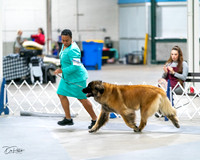 20231029-DSC01405