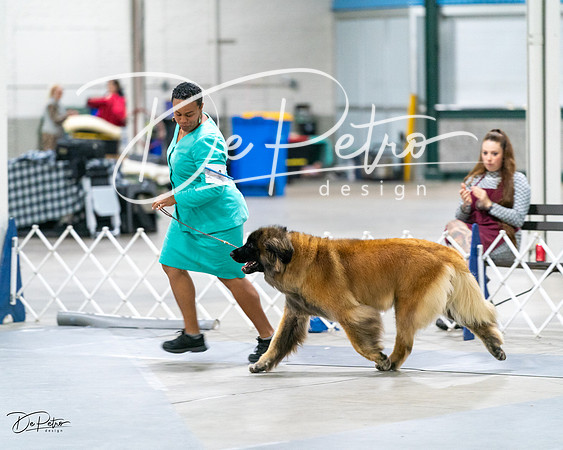 20231029-DSC01405