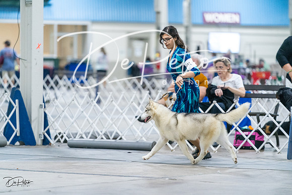 20231029-DSC06527