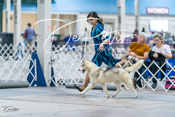 20231029-DSC06531