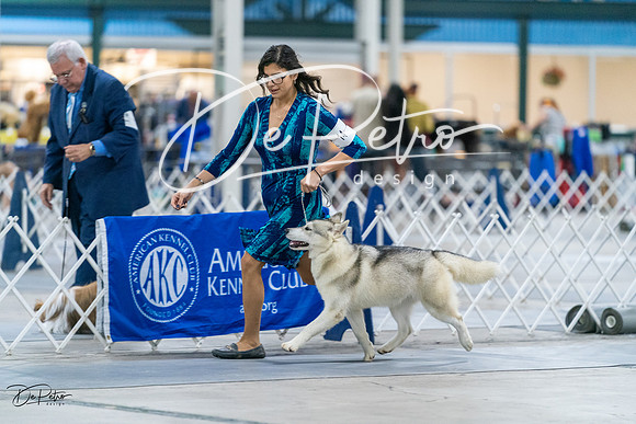 20231029-DSC06541