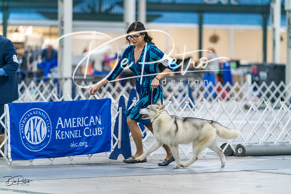 20231029-DSC06537
