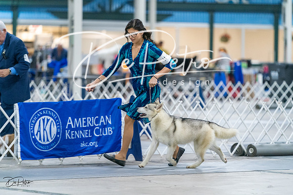 20231029-DSC06538