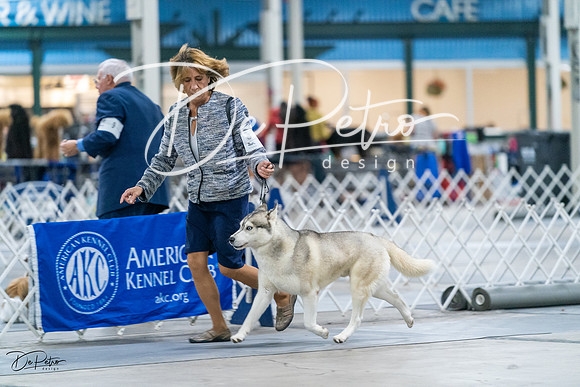 20231029-DSC06546