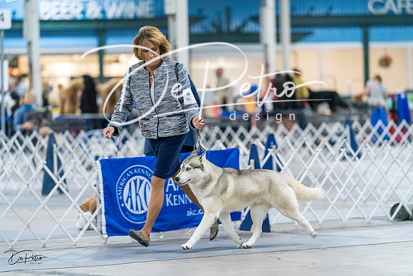 20231029-DSC06550