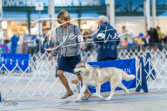 20231029-DSC06555