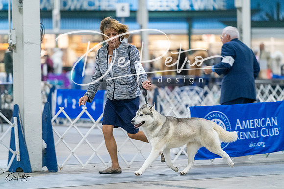 20231029-DSC06559