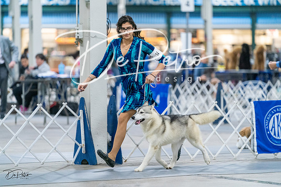 20231029-DSC06568