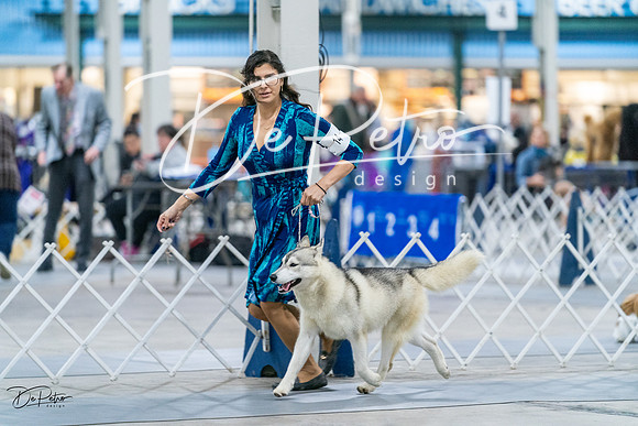 20231029-DSC06572
