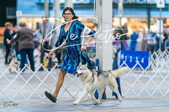 20231029-DSC06576