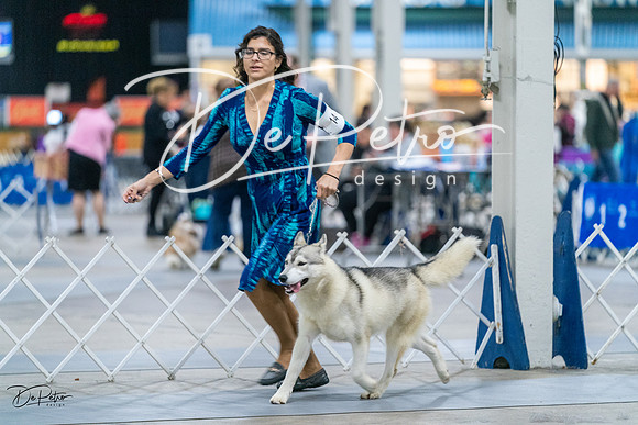 20231029-DSC06581