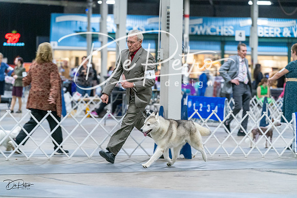 20231029-DSC06267