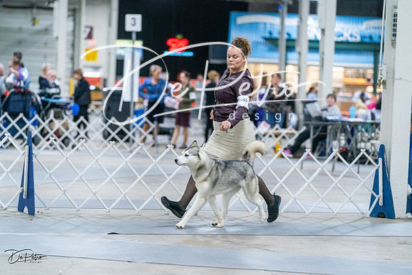 20231029-DSC06300