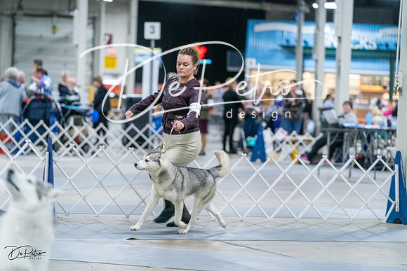 20231029-DSC06304