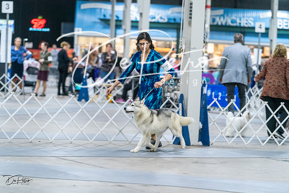 20231029-DSC06307