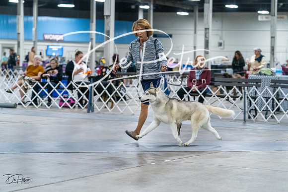 20231029-DSC06328