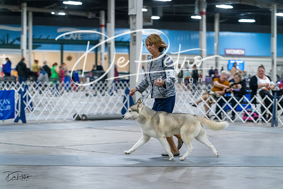 20231029-DSC06336