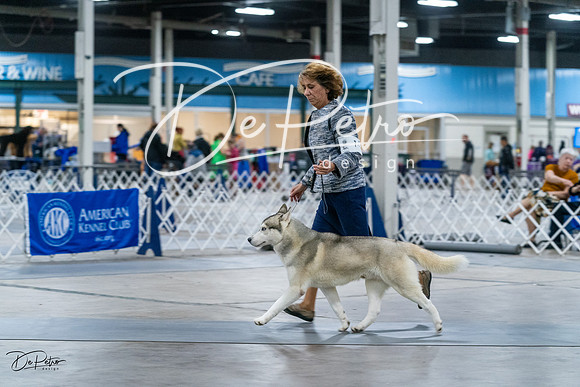 20231029-DSC06340