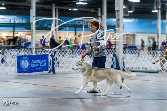 20231029-DSC06341