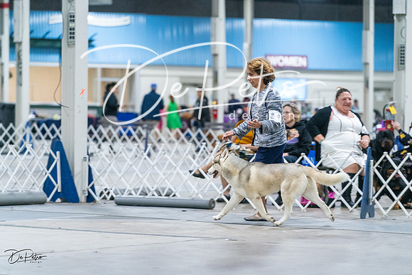 20231029-DSC06348
