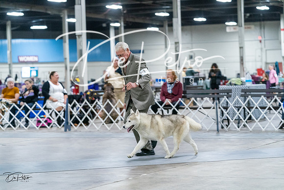 20231029-DSC06374