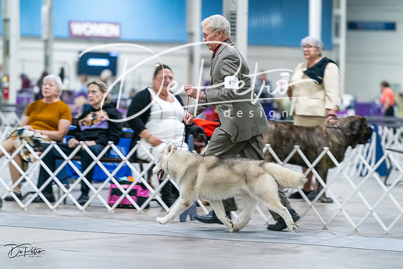 20231029-DSC06397
