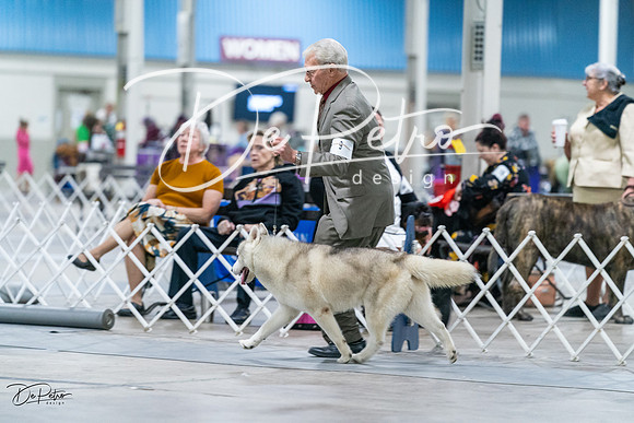 20231029-DSC06401