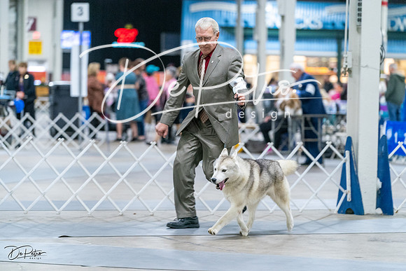 20231029-DSC06424