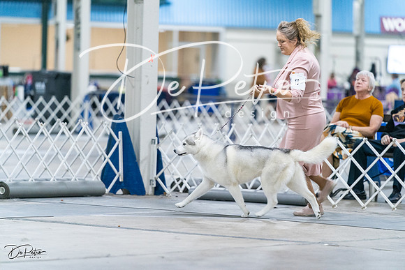 20231029-DSC06430