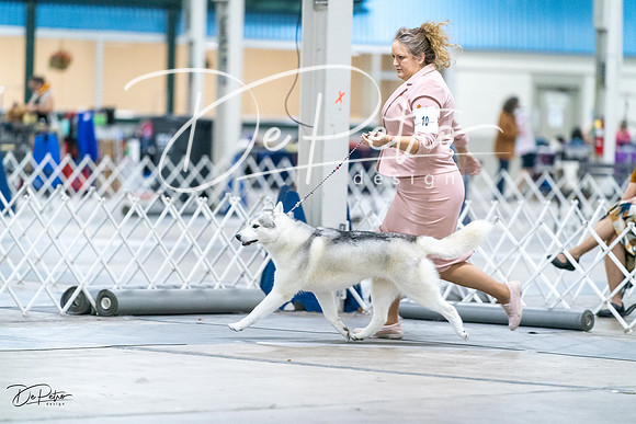 20231029-DSC06435