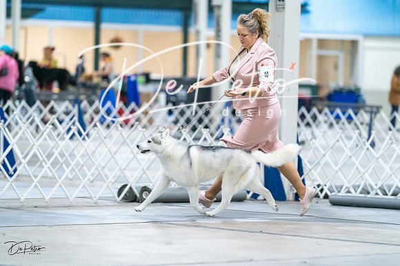 20231029-DSC06440