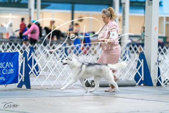 20231029-DSC06444