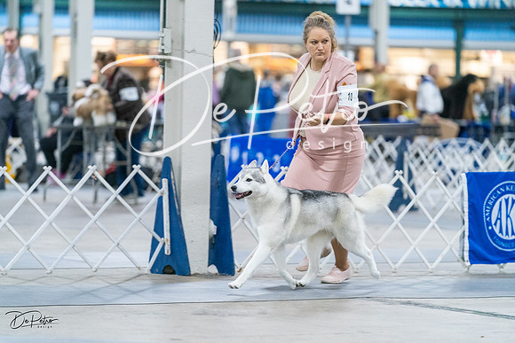 20231029-DSC06458