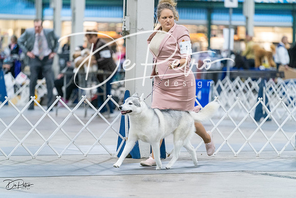 20231029-DSC06462