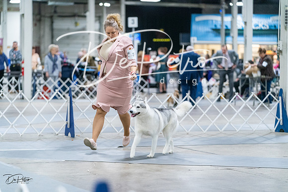 20231029-DSC06468