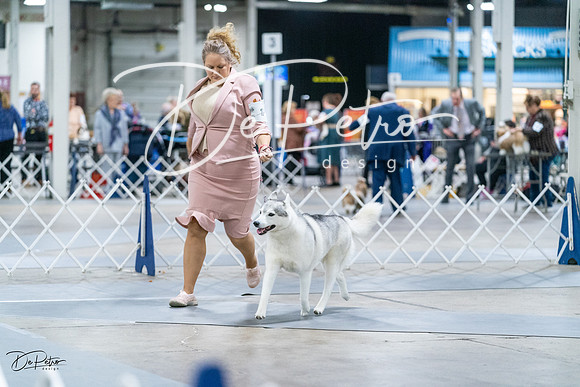 20231029-DSC06469