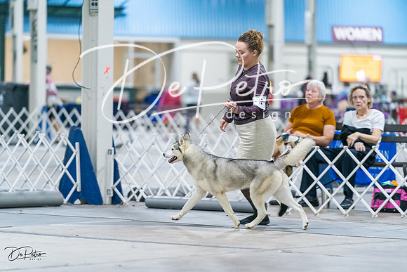 20231029-DSC06474